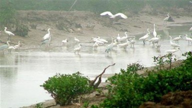  Cần hợp tác liên vùng để ứng phó với biến đổi khí hậu tại Đồng bằng sông Hồng